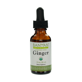 Ginger (Fresh) liquid extract - TheVedicStore.com